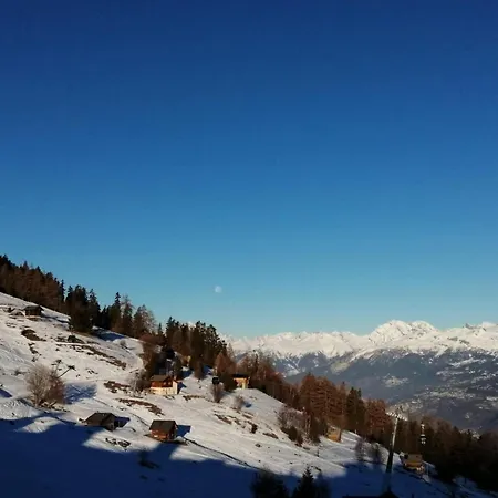 Mountain View In