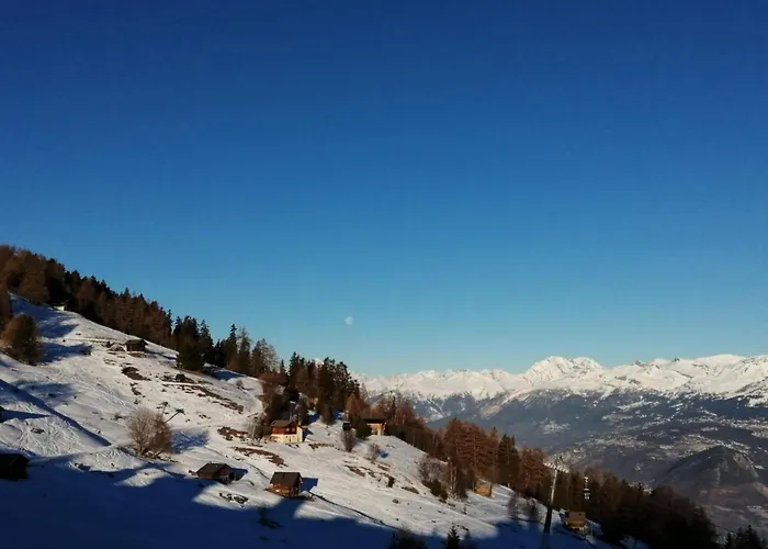 Mountain View In